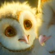 Illustration for article titled Legend Of The Guardians: The Owls Of Ga’Hoole